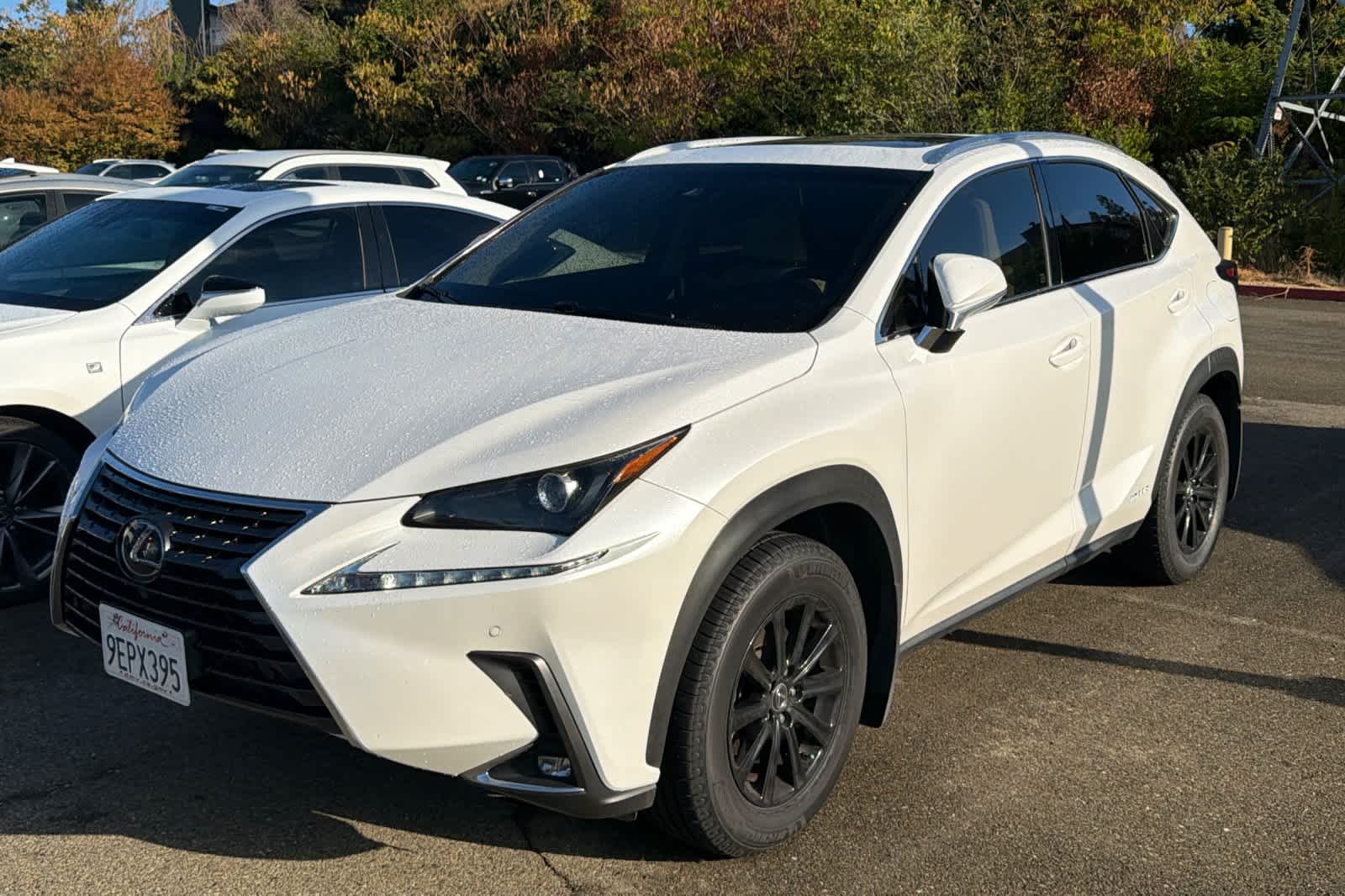 2019 Lexus NX 300h 