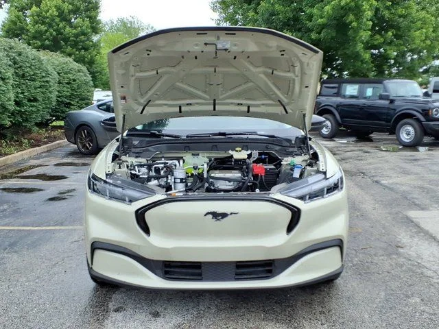 New 2026 Beige Ford Premium image 19