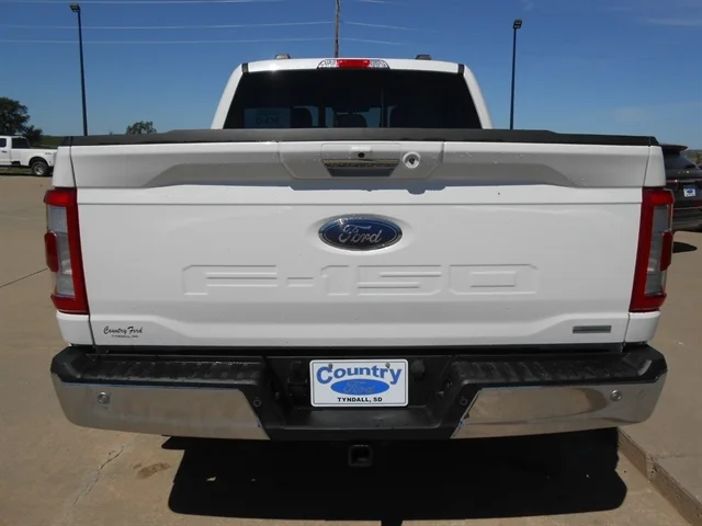 Used 2023 Star White FORD  image 5