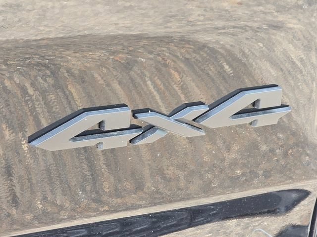 New 2026 Diamond Black Crystal Pearl-Coat Exterior Paint RAM Big Horn/Lone Star image 20