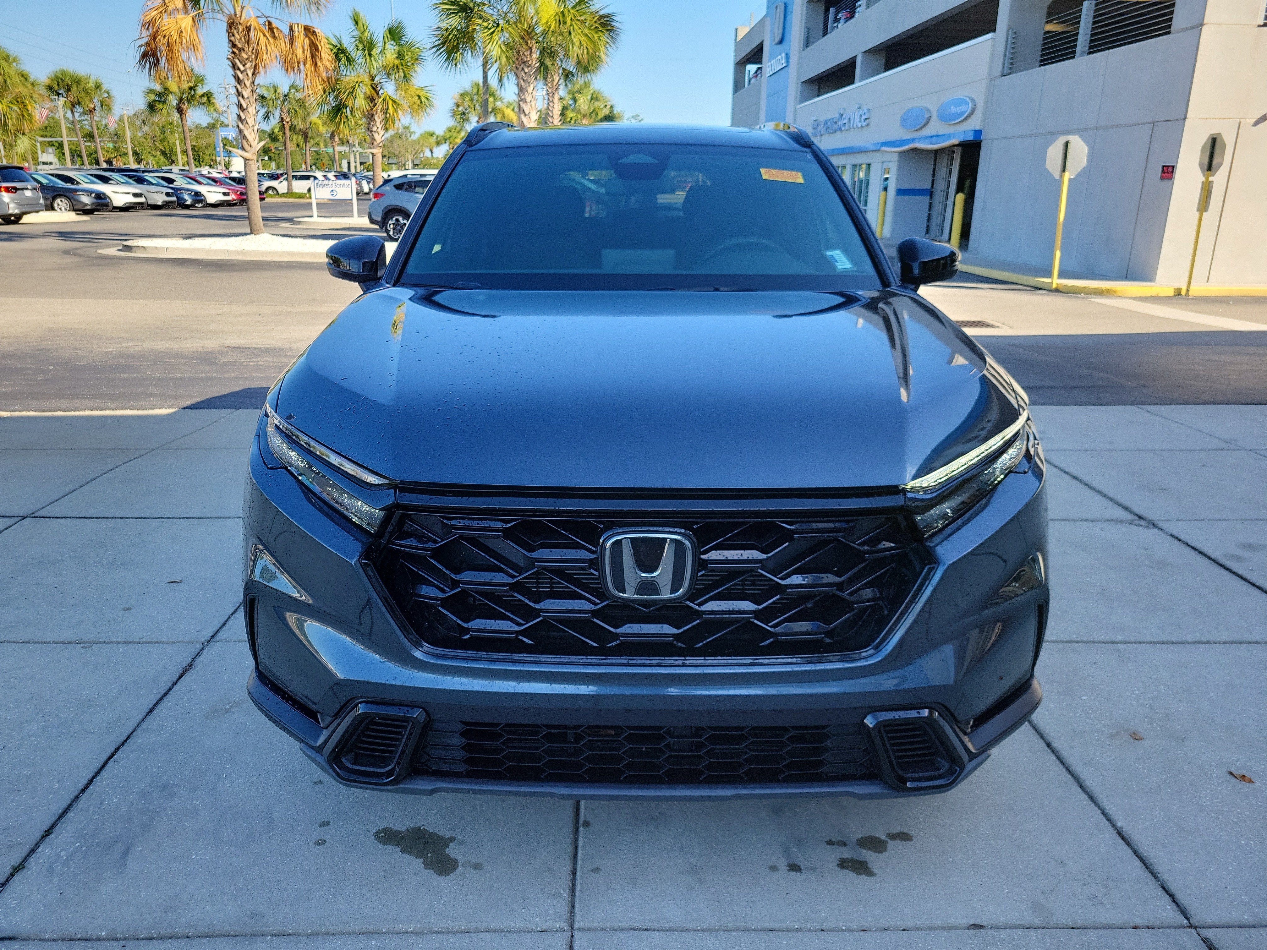 Photo 44