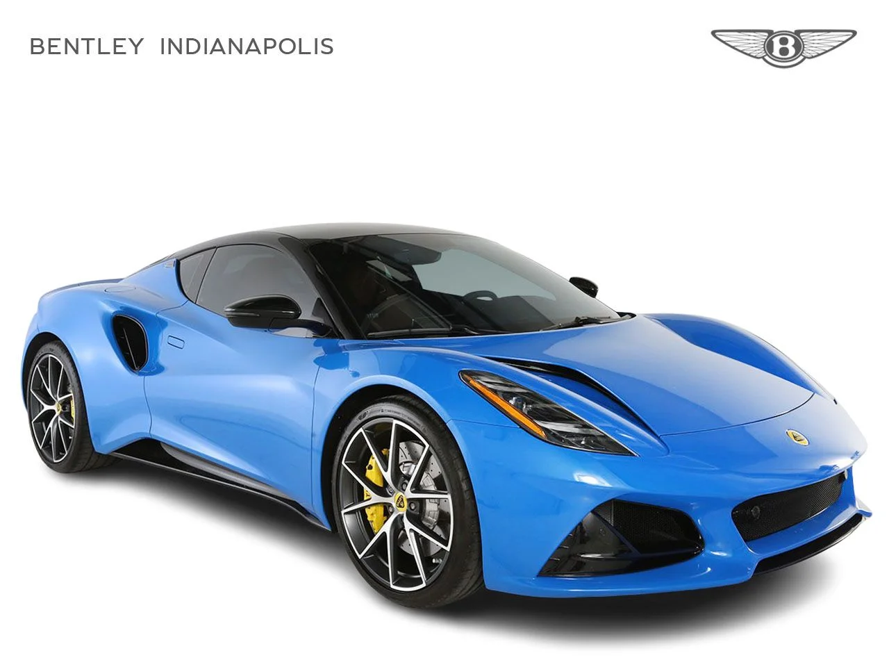 Used 2024 Blue Lotus  image 1