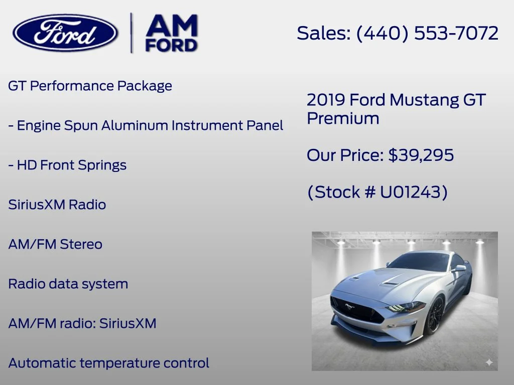 Used 2019 Ingot Silver Ford GT Premium image 14