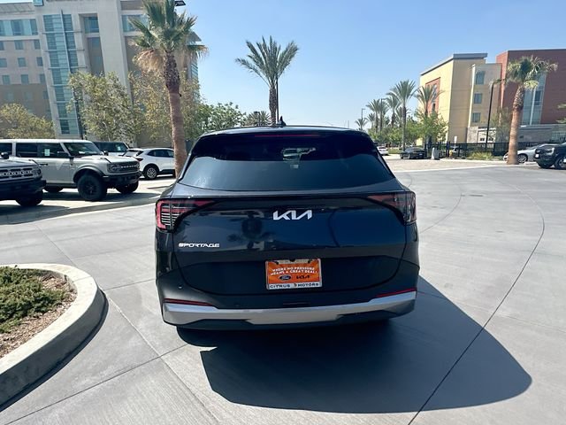 New 2026 Panthera Metal Kia EX image 6