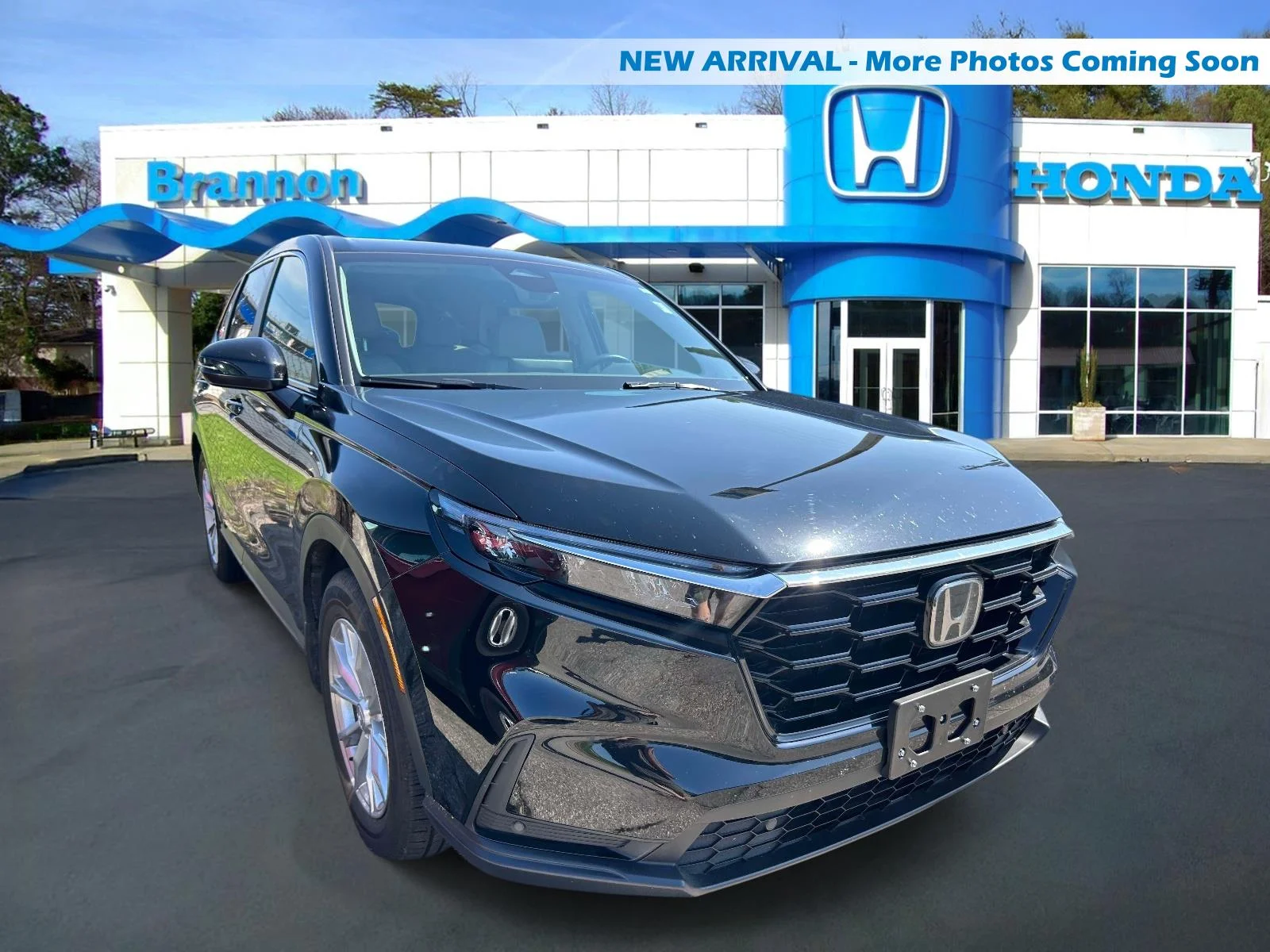 2024 Honda CR-V EX-L 2WD's photo