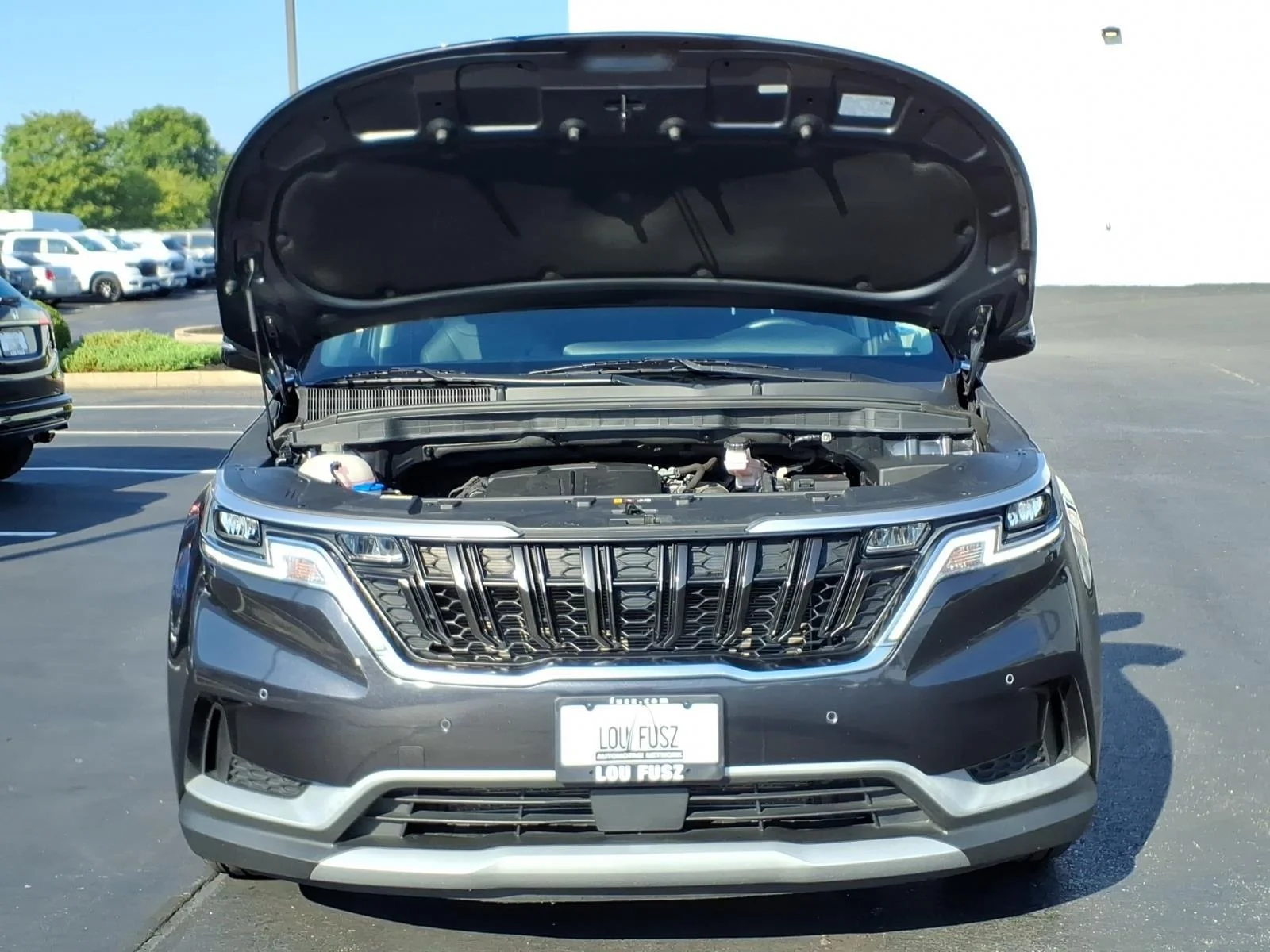 Used 2023 Panthera Metal Kia EX image 34