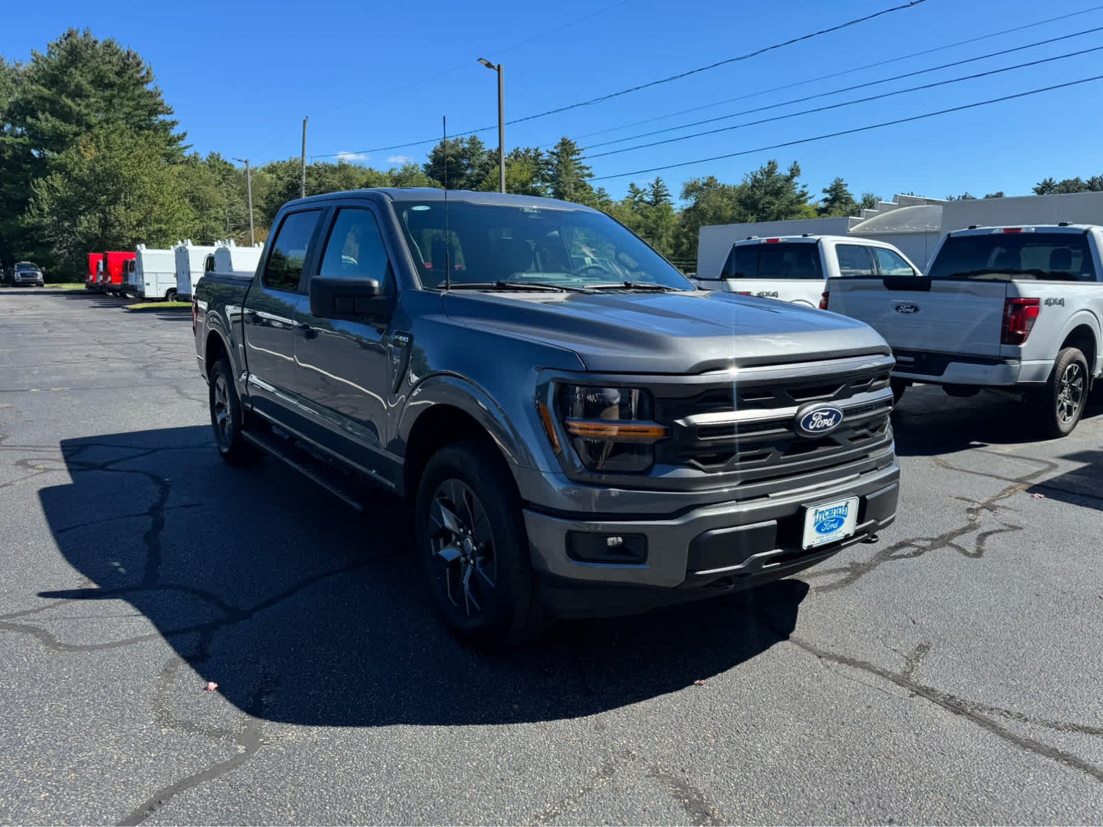 Used 2025 Carbonized Gray Ford STX image 8