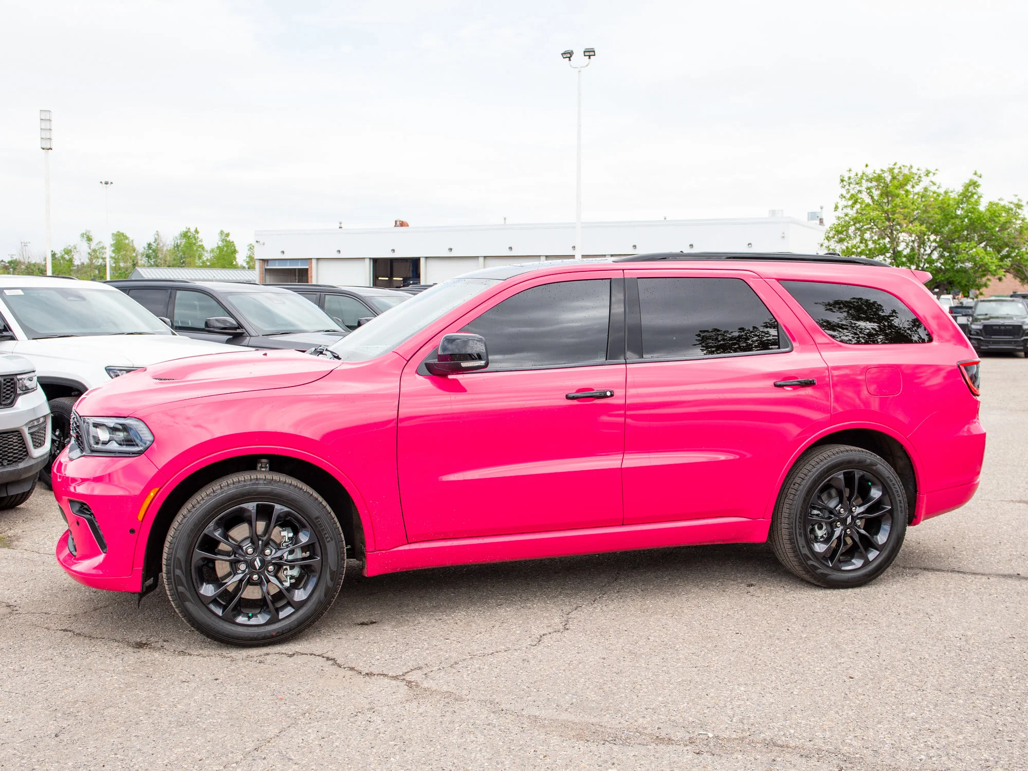 New 2026 Black Dodge GT Plus* image 2