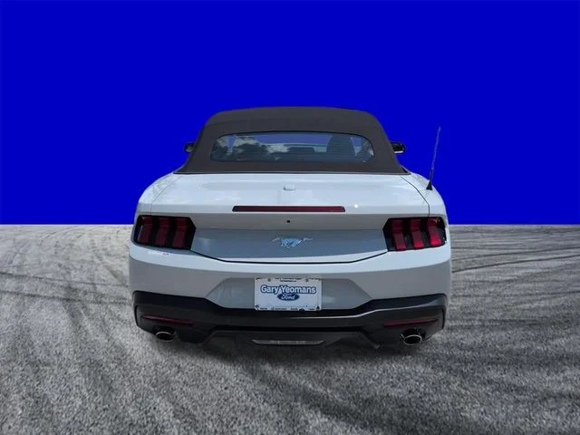 New 2026 Avalanche Gray Ford EcoBoost® Premium Convertible image 5