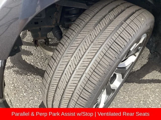 Used 2020 Steel Metallic Ram Limited image 16