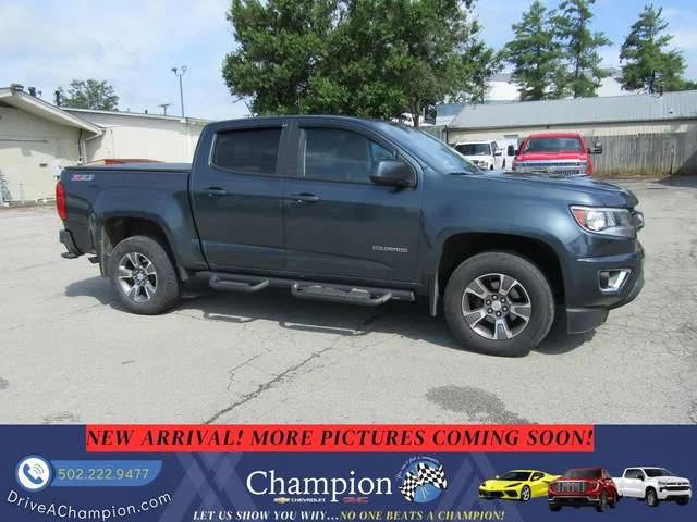 Used 2019 SHADOW GRAY METALLIC Chevrolet 4WD Z71 image 3