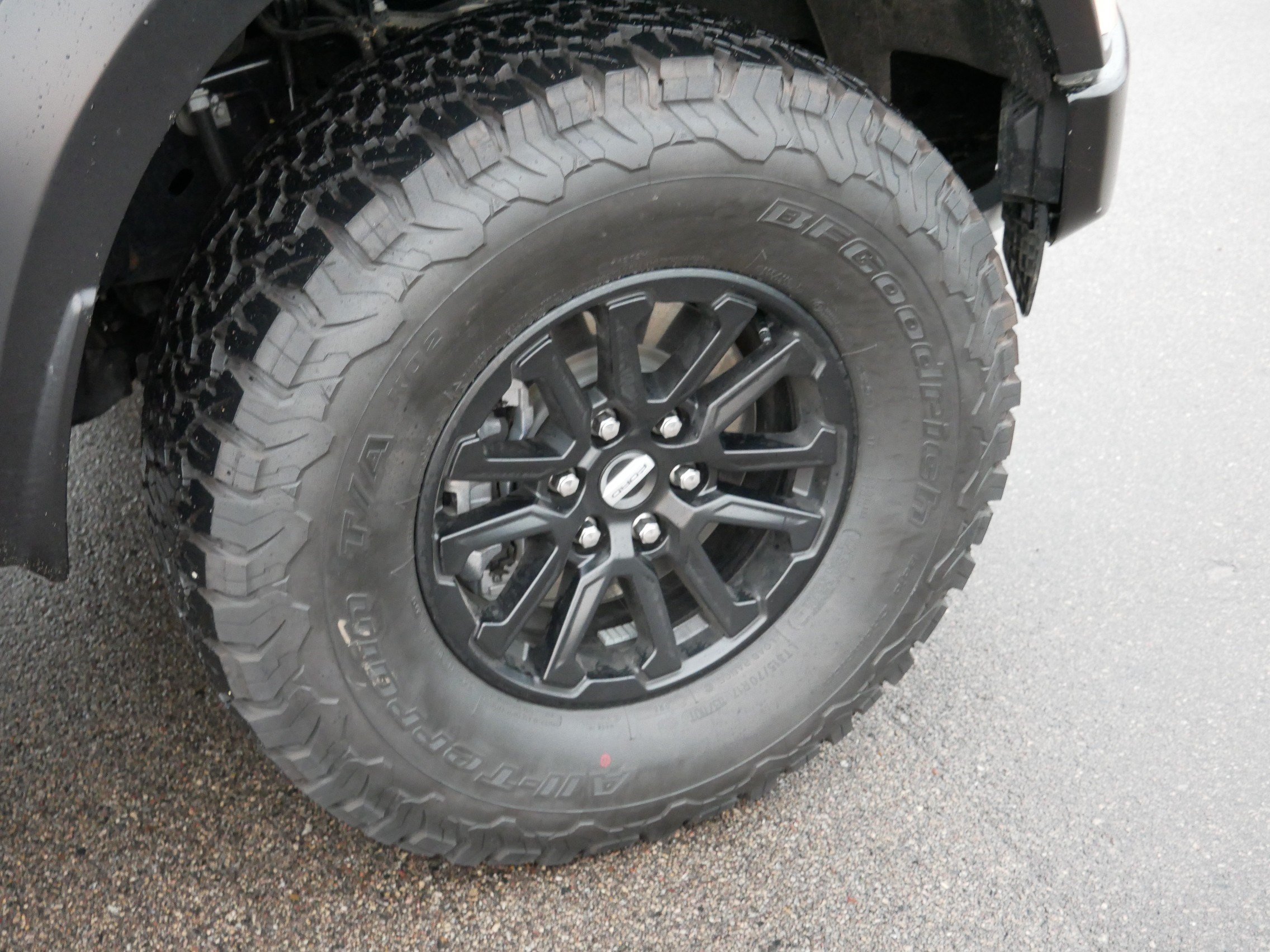 2026 Ford F-150 Raptor - Photo 15