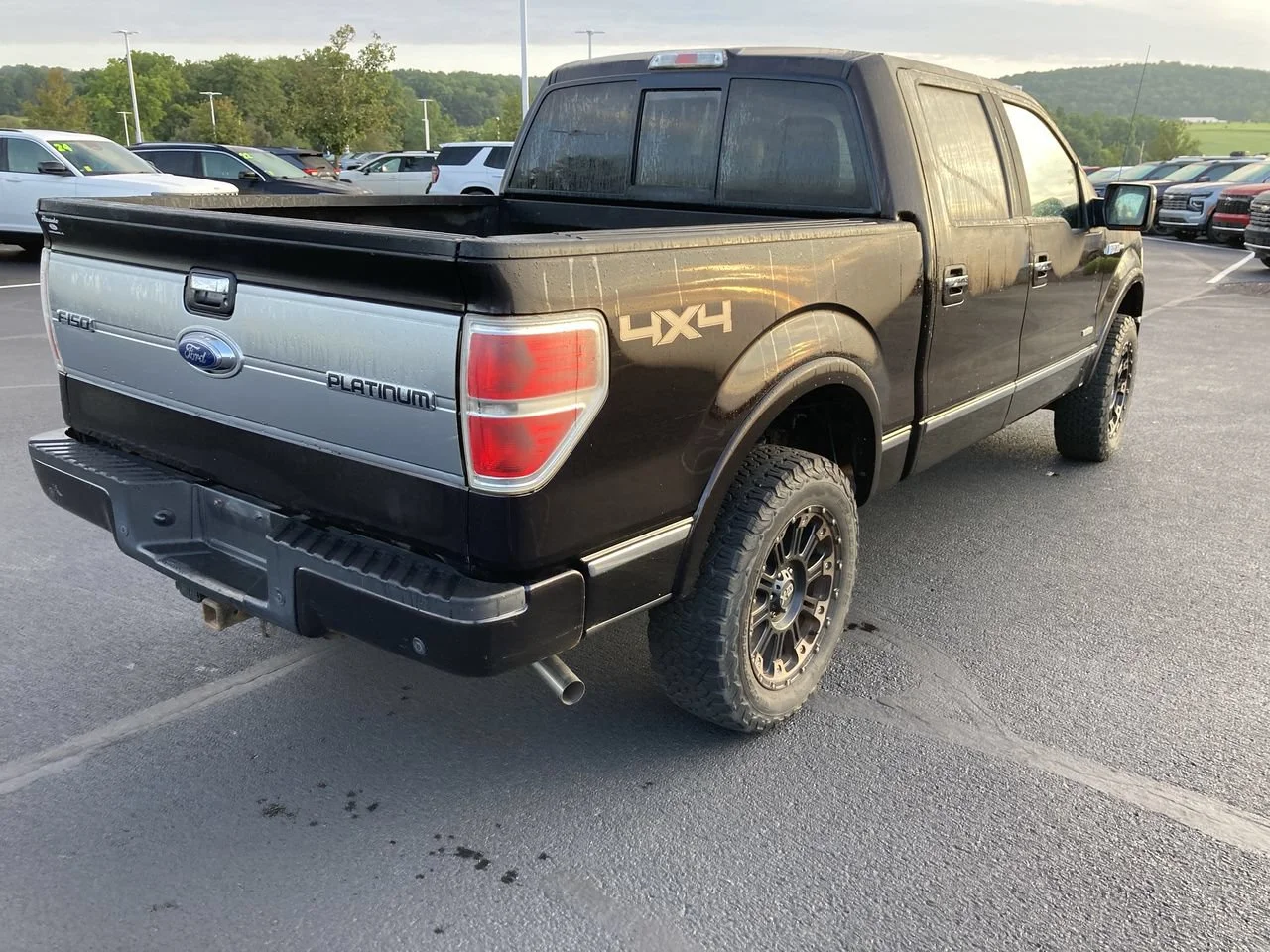 Used 2013 KODIAK BROWN META Ford XL image 7