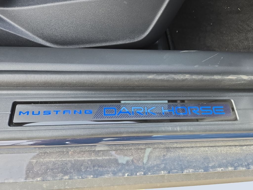2025 Ford Mustang Dark Horse - Photo 25