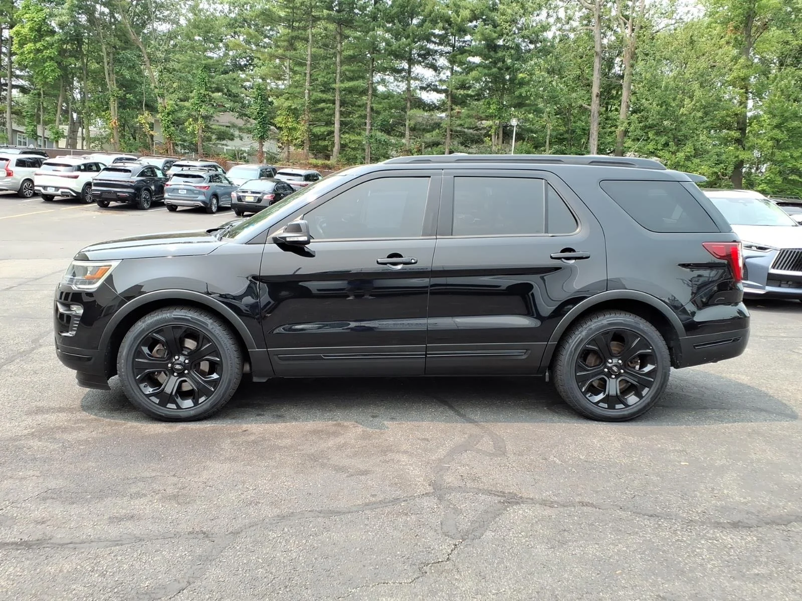 Used 2019 Black Ford Sport image 9