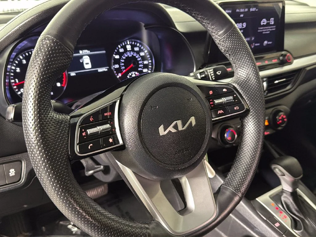 Used 2024  Kia LXS image 22
