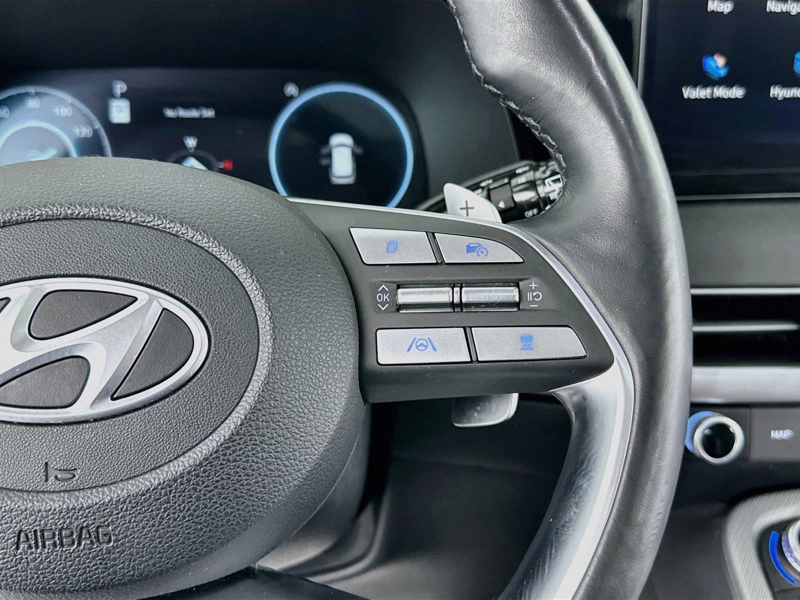 2025 Hyundai Palisade SEL Premium - Photo 16