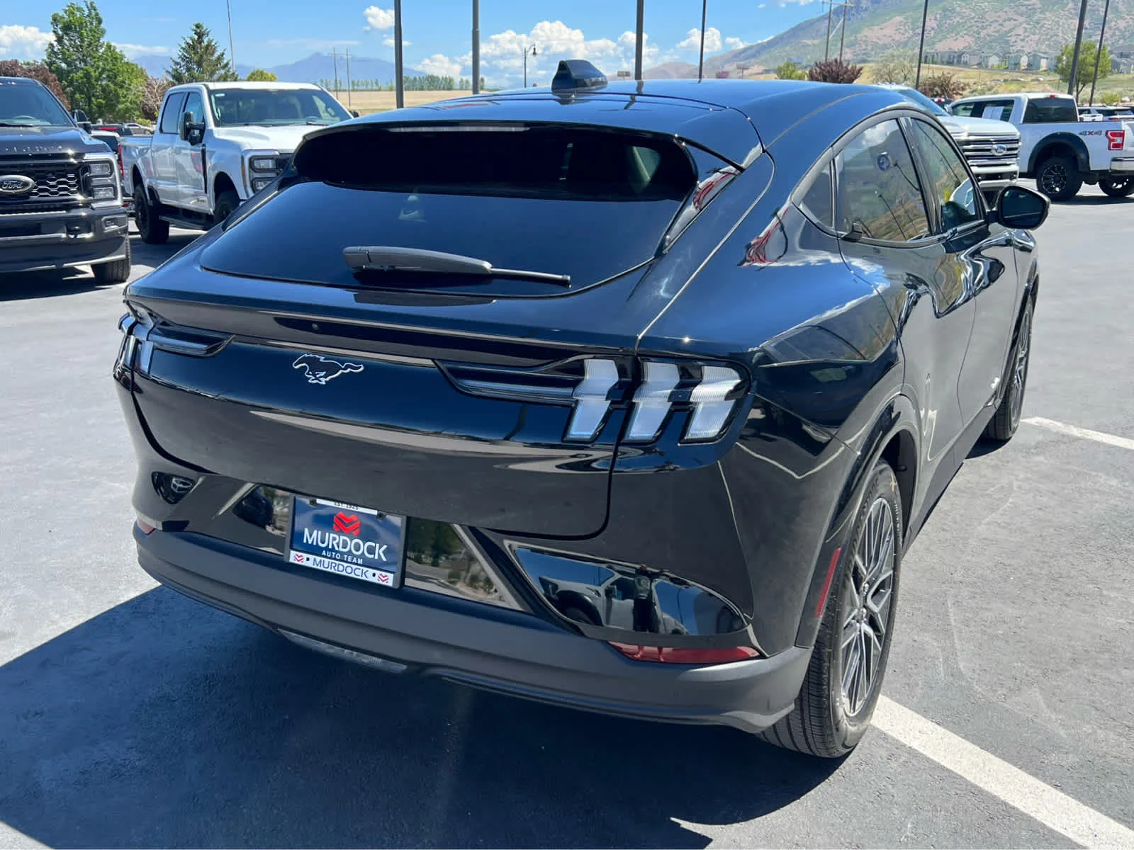 New 2026 Shadow Black Ford Premium image 8