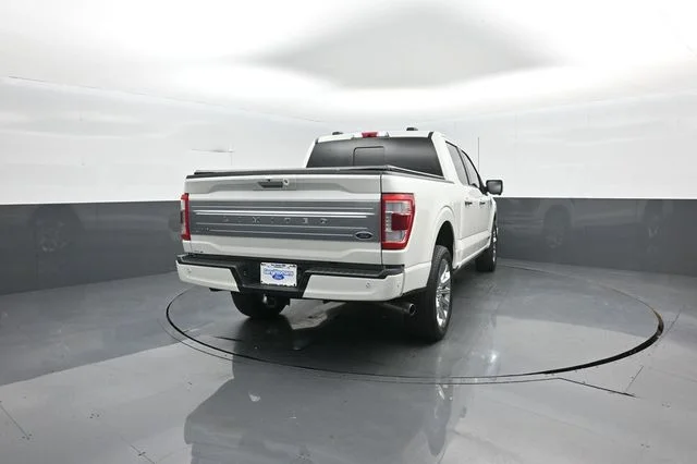 Used 2023 Star White Ford Limited image 7