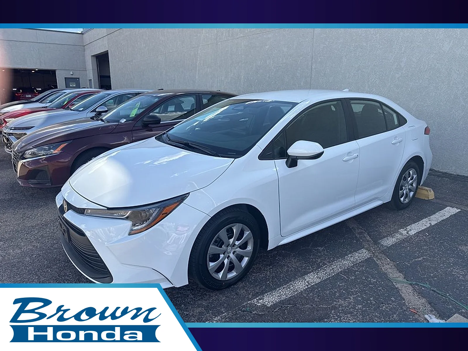 2026 Toyota Corolla LE CVT's photo