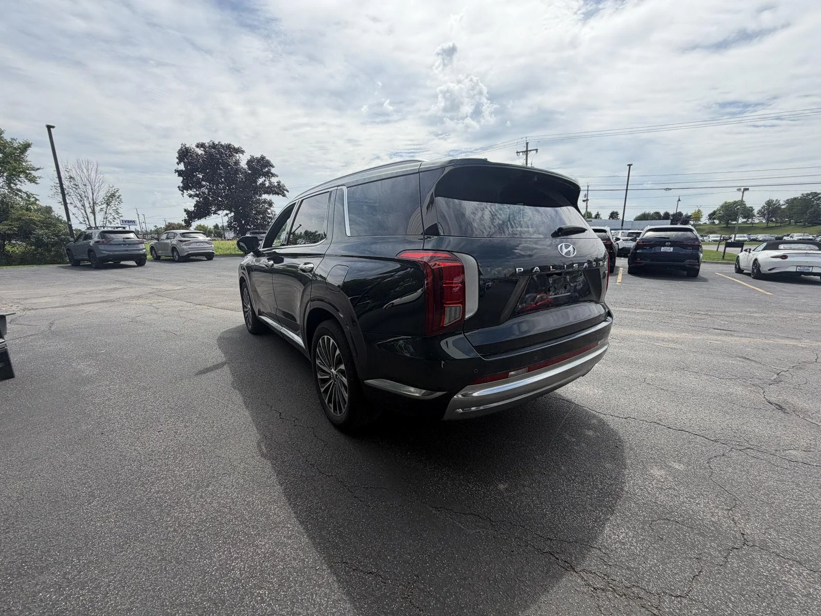 Used 2025 Robust Emerald Hyundai Calligraphy image 6