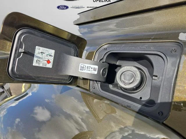 New 2025 Shelter Green Metallic Ford Raptor® image 26