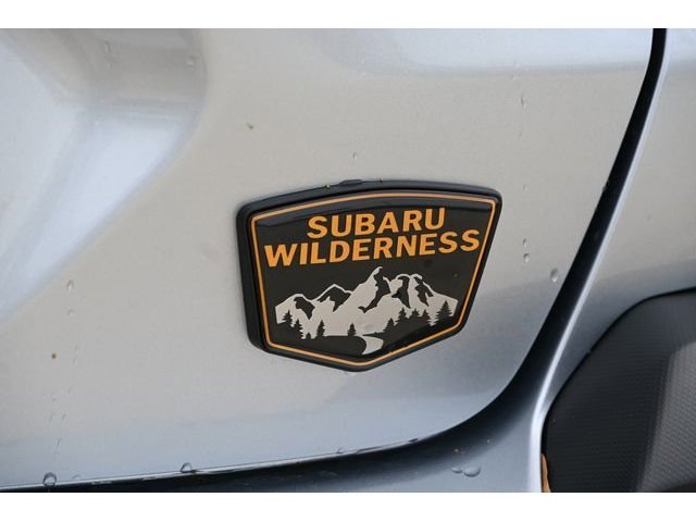 New 2026 Silver Subaru Wilderness image 47