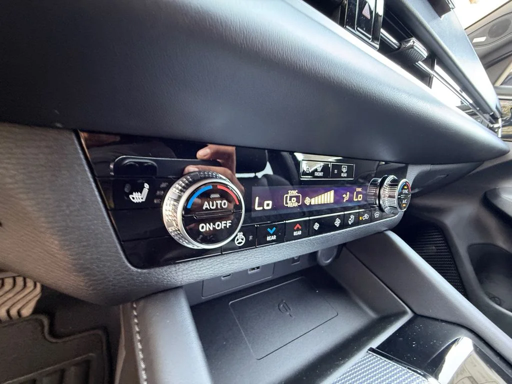 New 2026 Black Nissan Platinum image 23