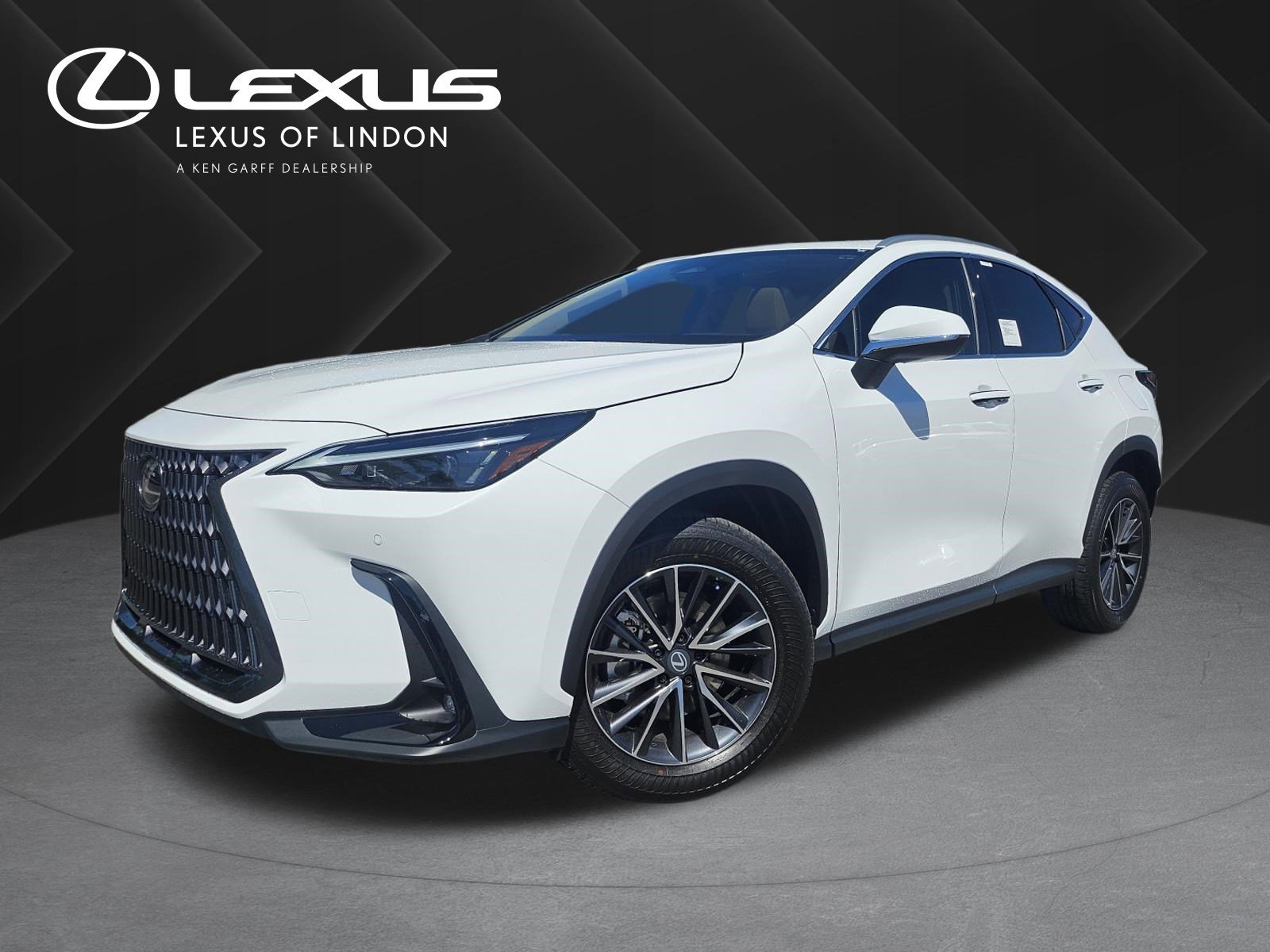 2026 Lexus NX 350h 350h Premium AWD's photo