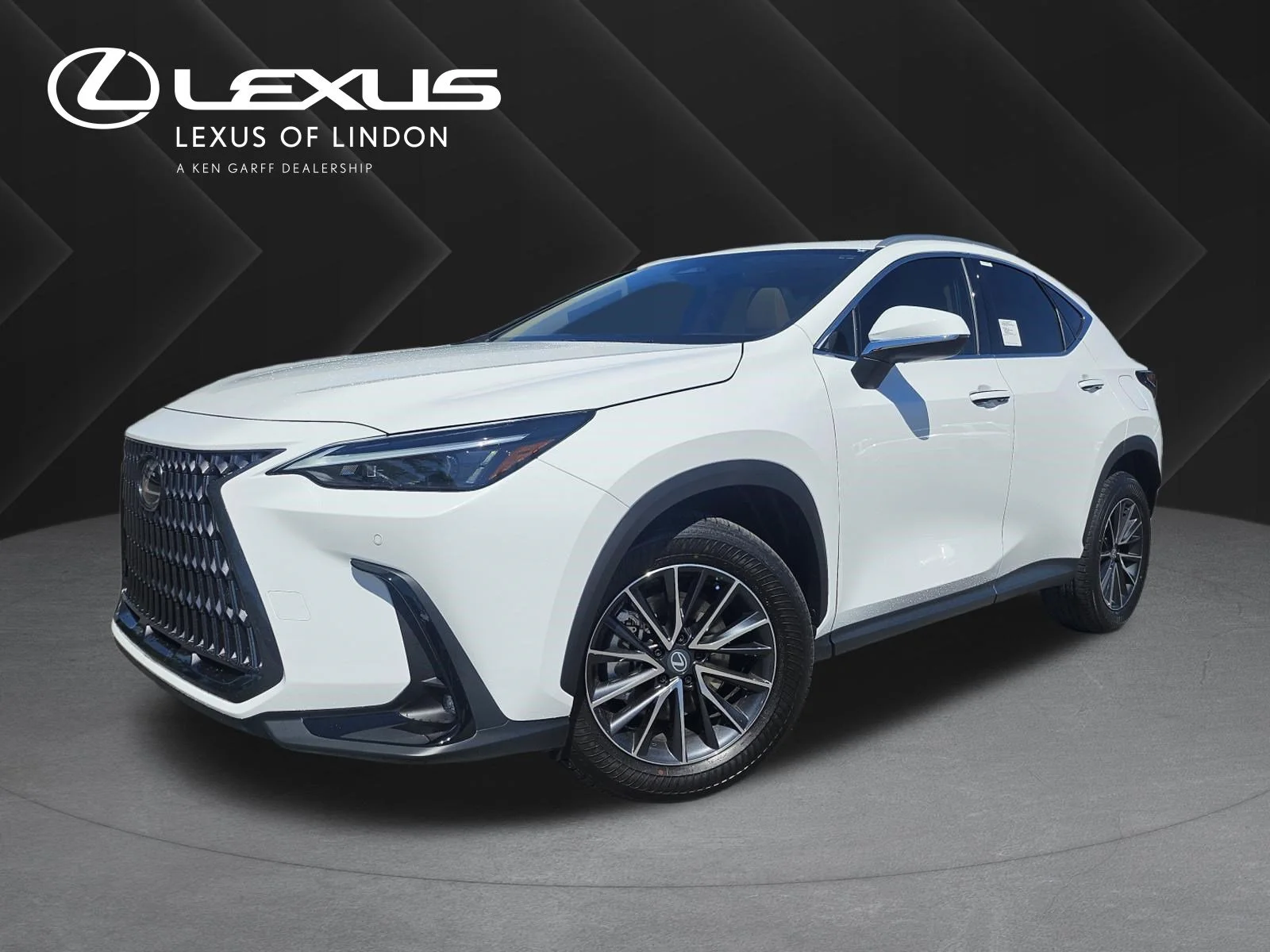 2026 Lexus NX 350h 350h Premium AWD's photo