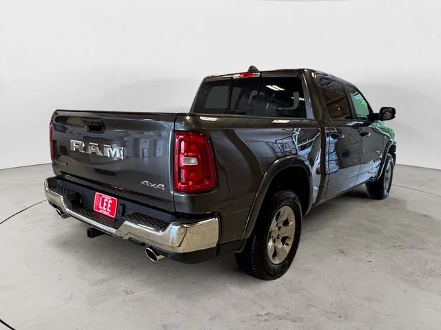 New 2026 Gray Ram Big Horn/Lone Star image 6