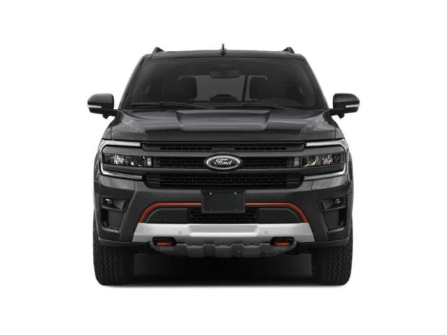 Used 2024 STAR WHITE META Ford Timberline image 4