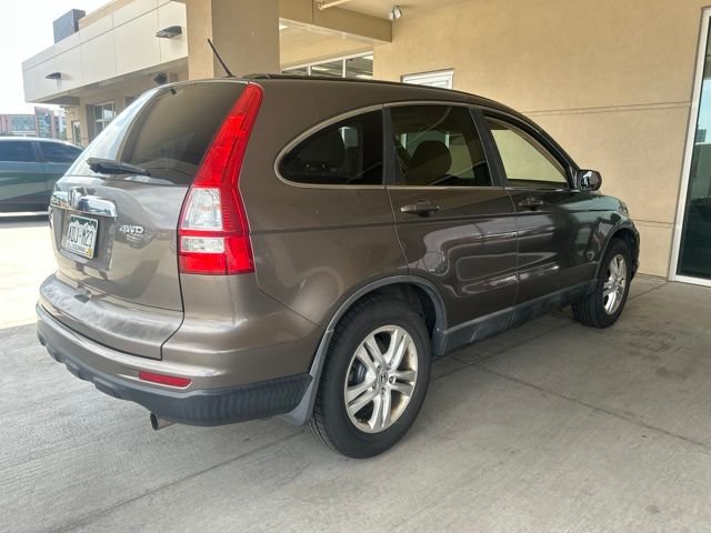 Used 2010 Gray Honda EX-L image 3