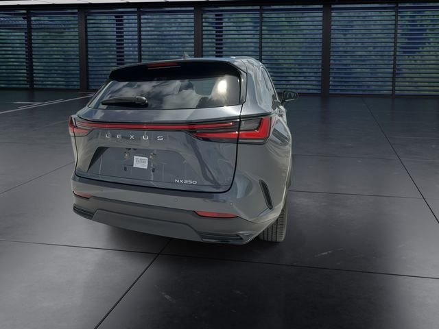 Certified Used 2025 Gray Lexus 250 Premium image 7