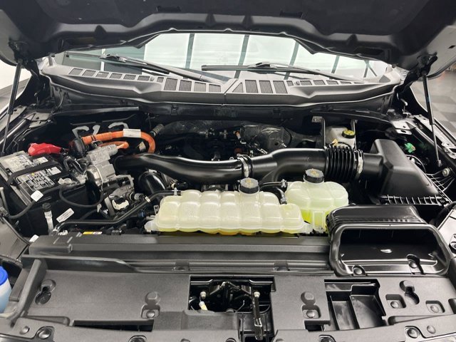 Used 2025 Carbonized Gray Ford XLT image 31