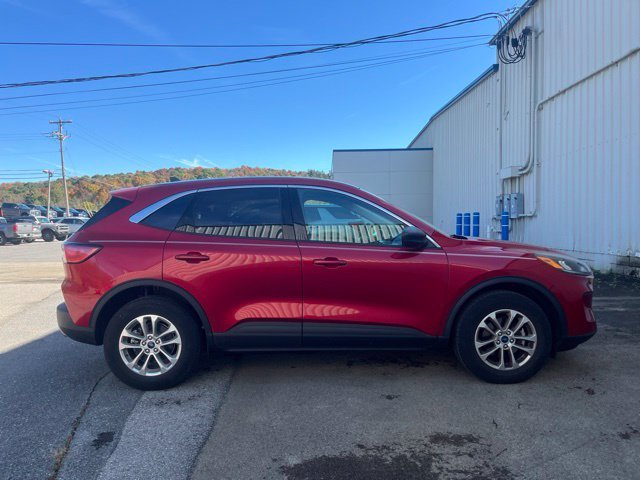 Used 2022 Rapid Red Metallic Tinted Clearcoat Ford SE image 3