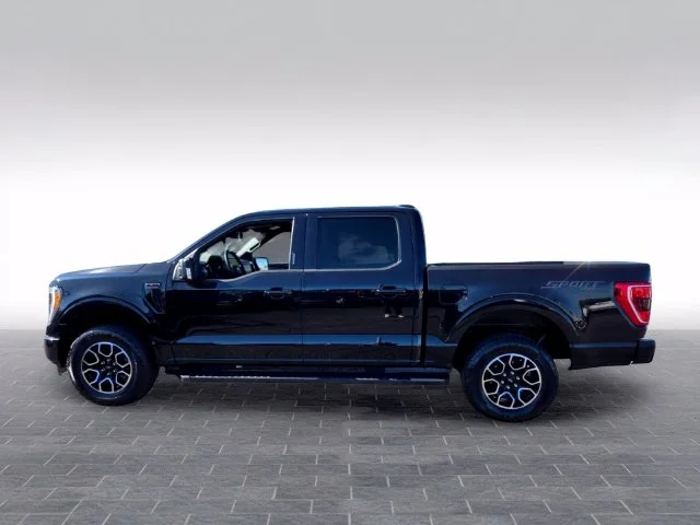 Used 2023 Black Ford XLT image 4