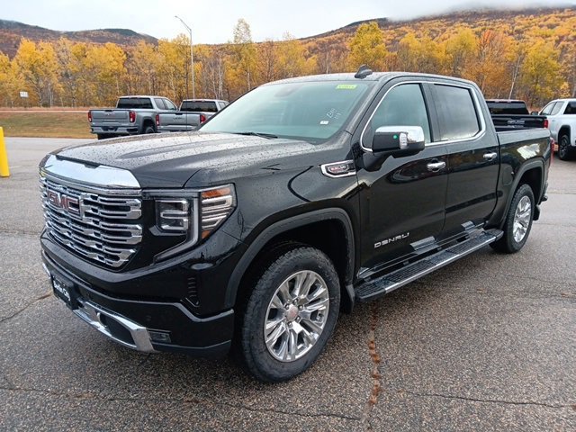 2026 Gmc Sierra 1500 Denali photo 3