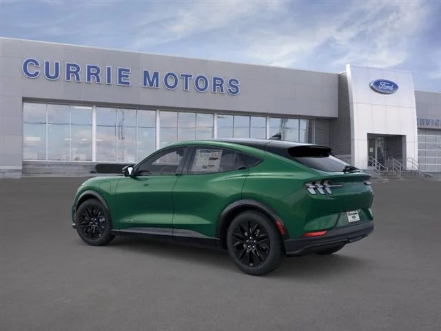 New 2026 Eruption Green Metallic Ford Premium image 26