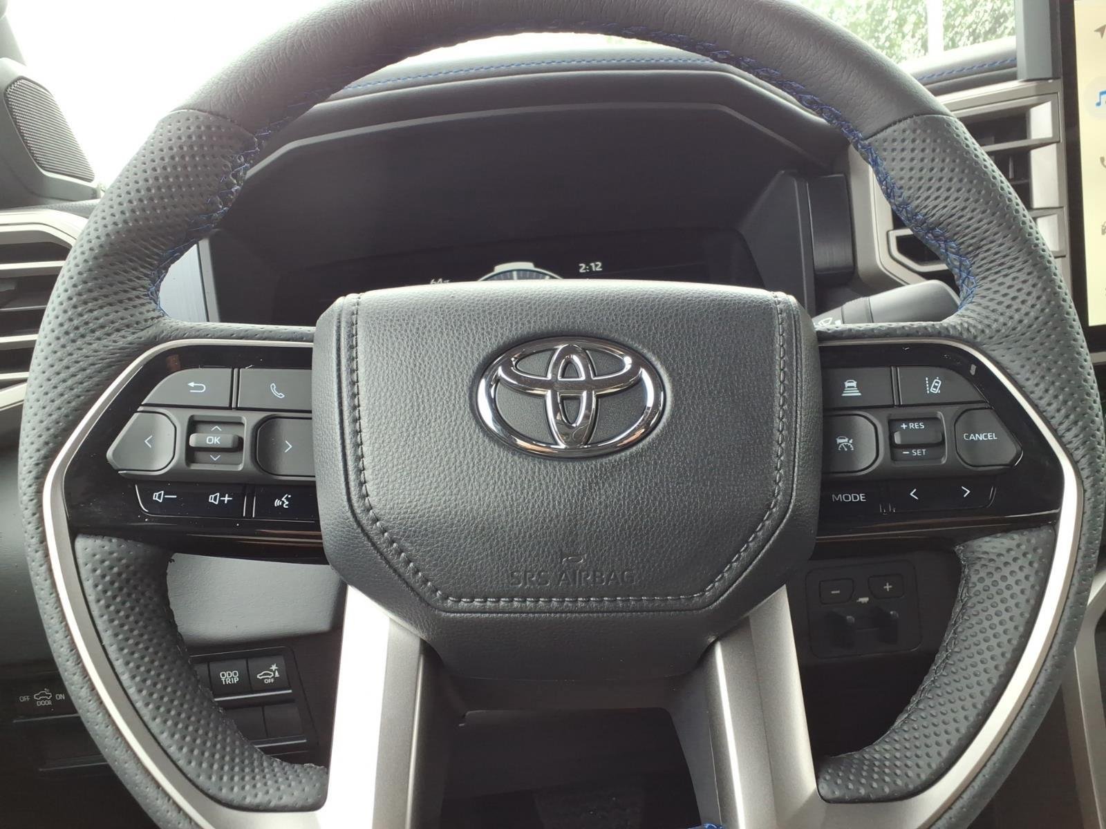New 2026 Magnetic Gray Metallic Toyota Platinum image 28