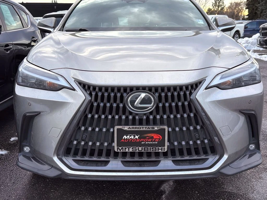 Used 2022 Atomic Silver Lexus Luxury image 29