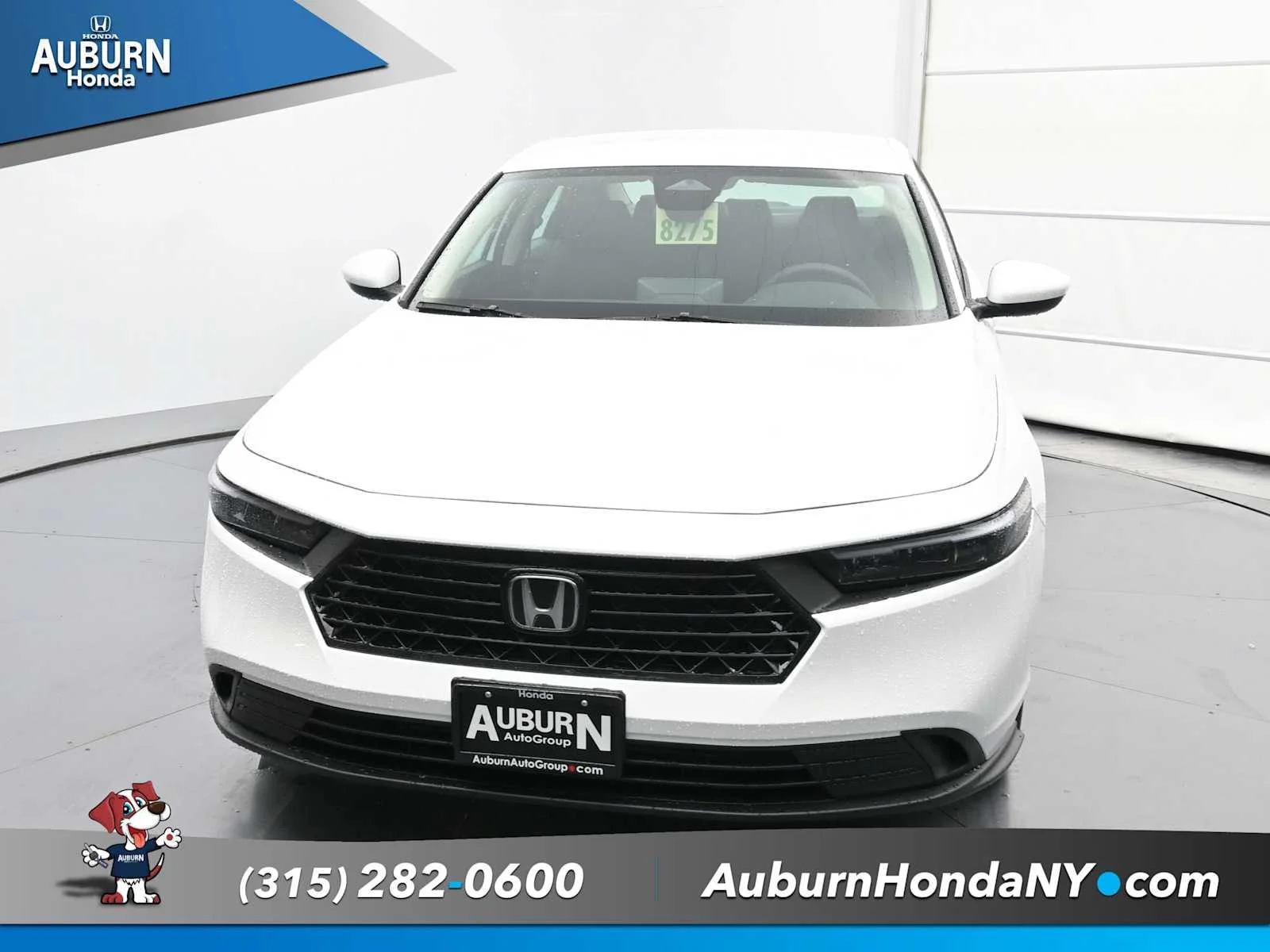 New 2025 Platinum White Pearl Honda LX image 3