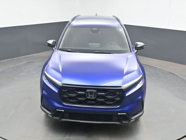Used 2023 Blue Honda Sport image 13