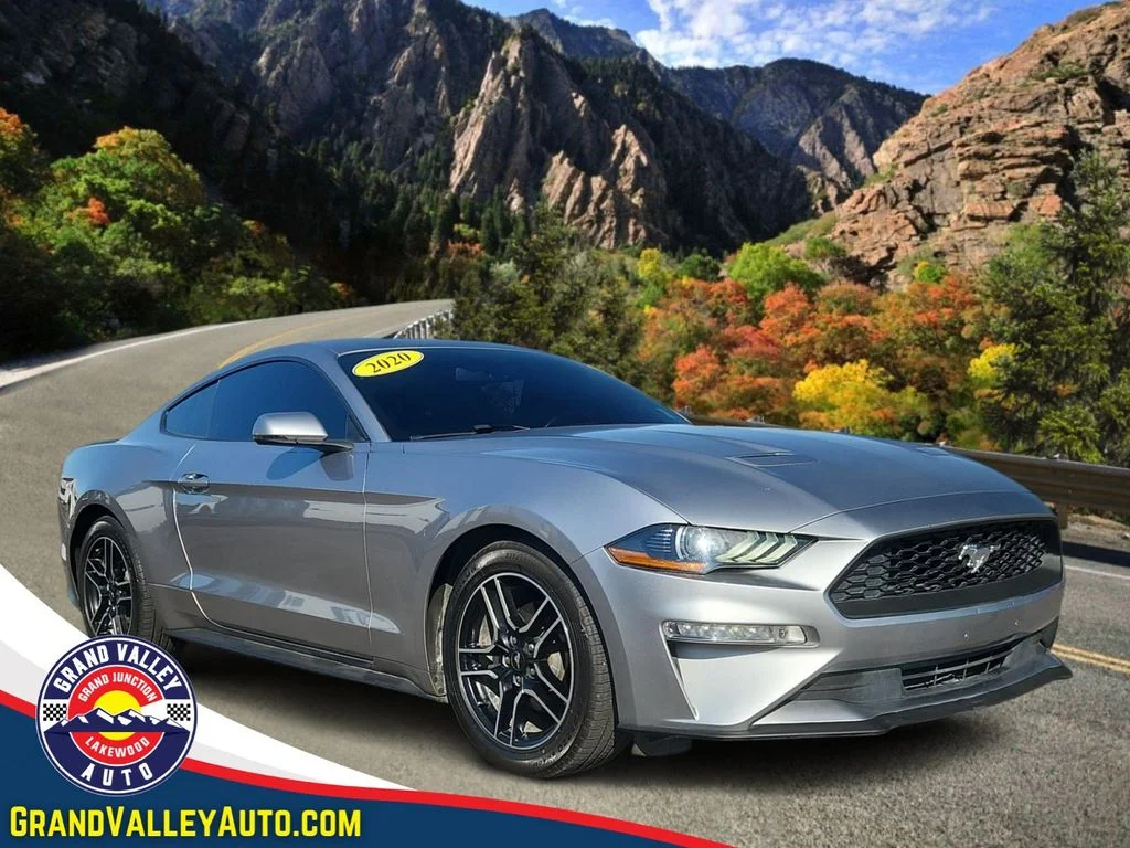 Used 2020 Silver Ford EcoBoost Premium image 1