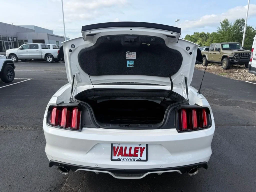 Used 2017 White Ford GT Premium image 33