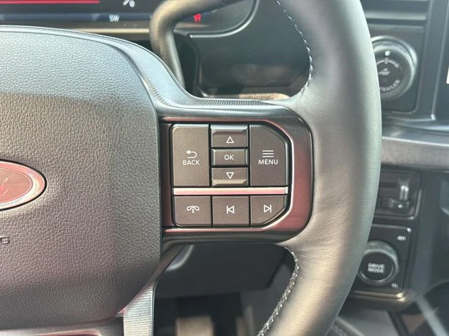 New 2026 Carbonized Gray Metallic Ford F-250® Platinum® image 33