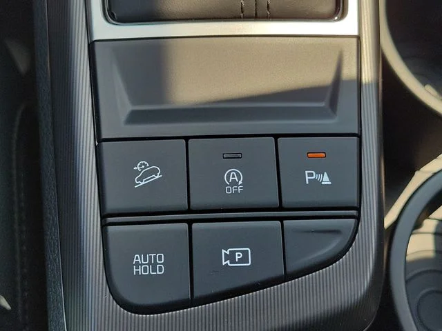 New 2026 Panthera Metal Kia EX image 32