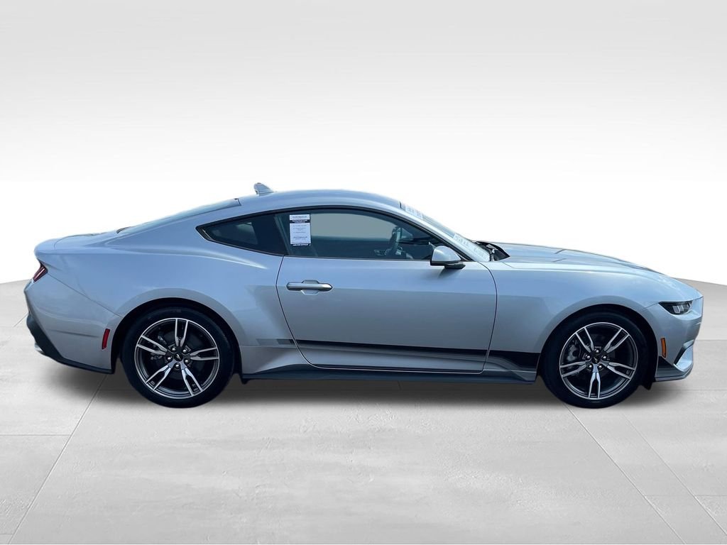 Used 2025 Silver Ford EcoBoost image 6