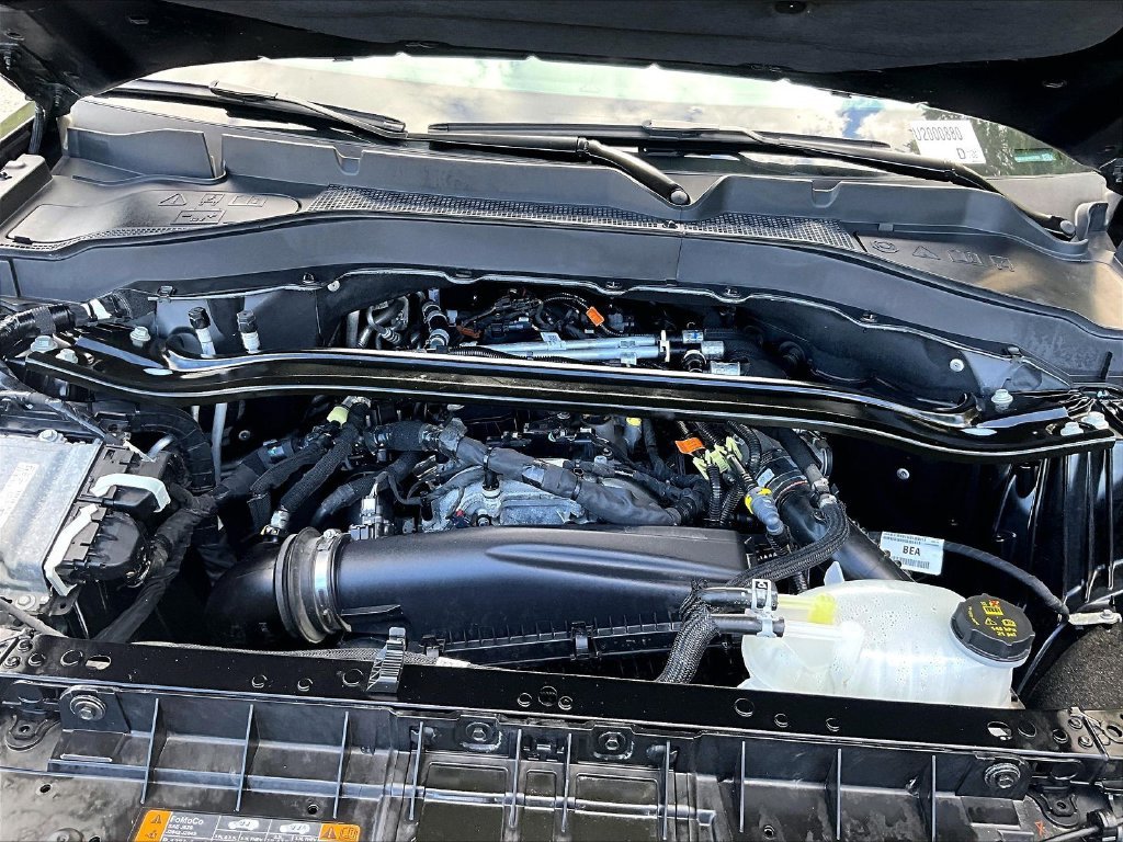 Used 2025 Black Metallic Ford ST-Line image 36