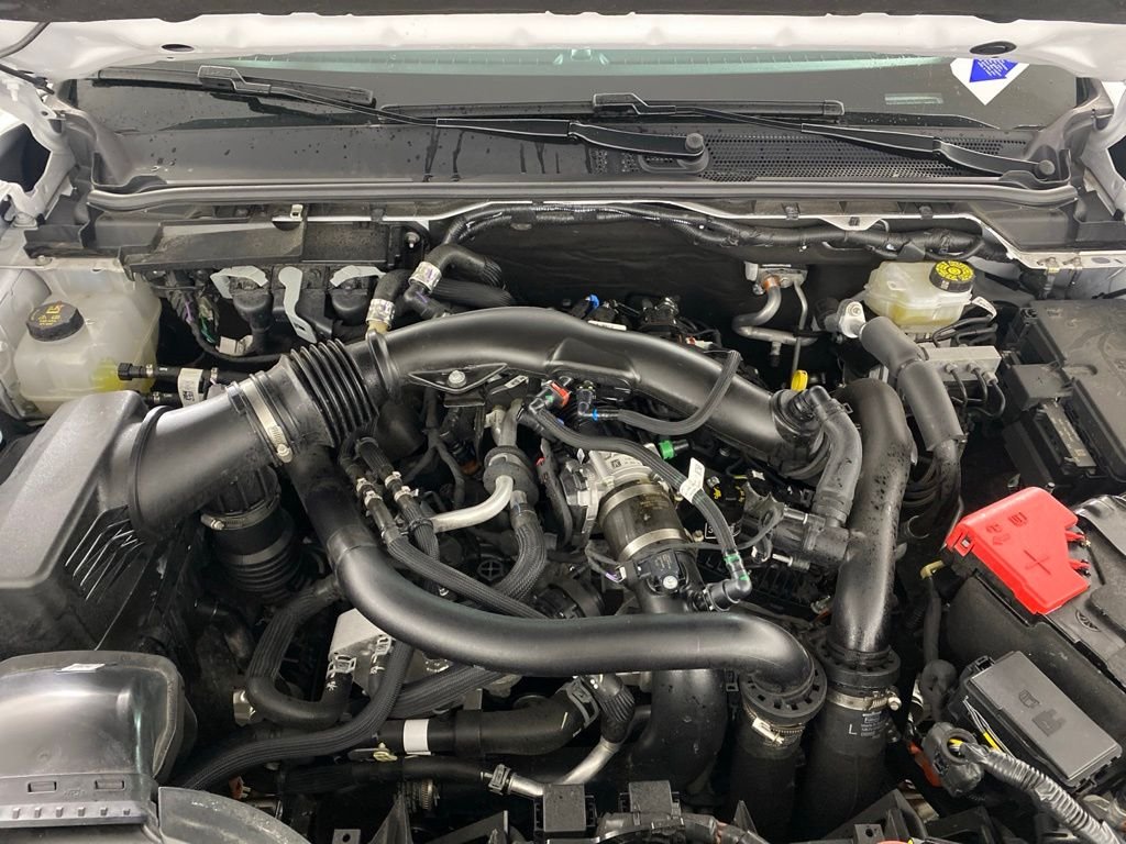 Used 2025 White Ford Raptor image 27